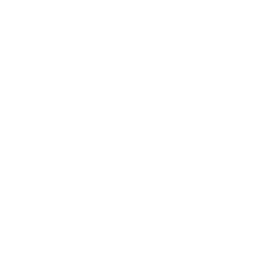 Search